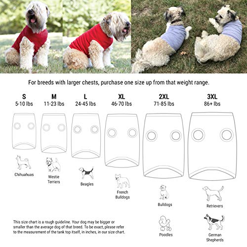 Personalized Dog Tank: Sports Tee