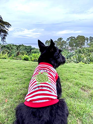 Parisian Pet Turtle Design Tee for XS Dog