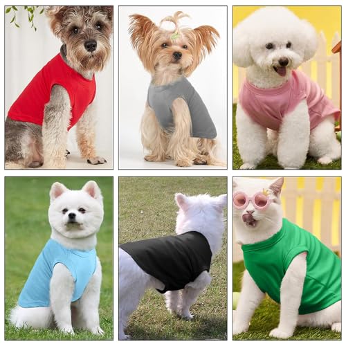 Personalized Dog Shirt Dress with Custom Print, Breathable