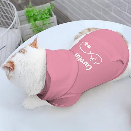 Personalized Custom Dog Hoodies with Name for Pets