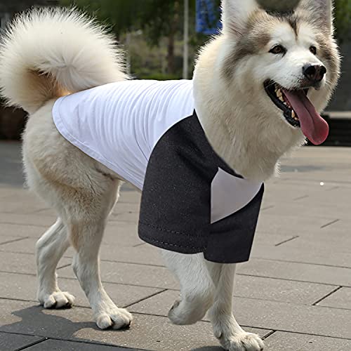 Personalized Photo Dog Shirts, Soft Pet Apparel for Small/Medium Dogs