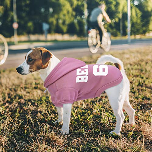 Personalized Dog Hoodie with Name & Number, Small Pink