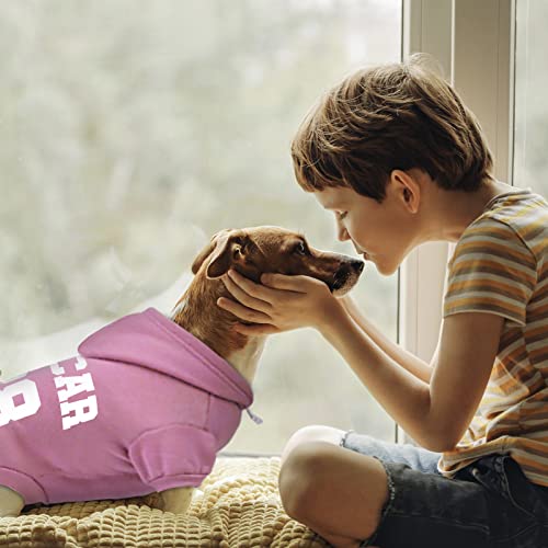 Personalized Dog Hoodie with Name & Number, Small Pink