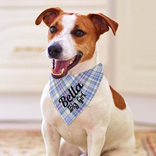 Custom Personalized Pet Bandanas for Dogs and Cats