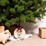 Personalized Paw Print Christmas Tree Ornament with Ribbon