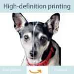 Personalized Custom Dog Pillow with Photo, Custom Shaped