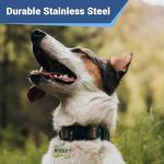 Personalized Engraved Stainless Steel Pet ID Tags with Designs