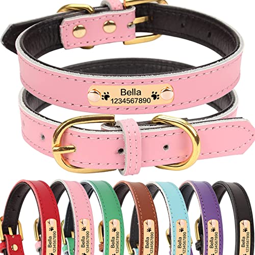Personalized Leather Dog Collars with Nameplate - Various Colors