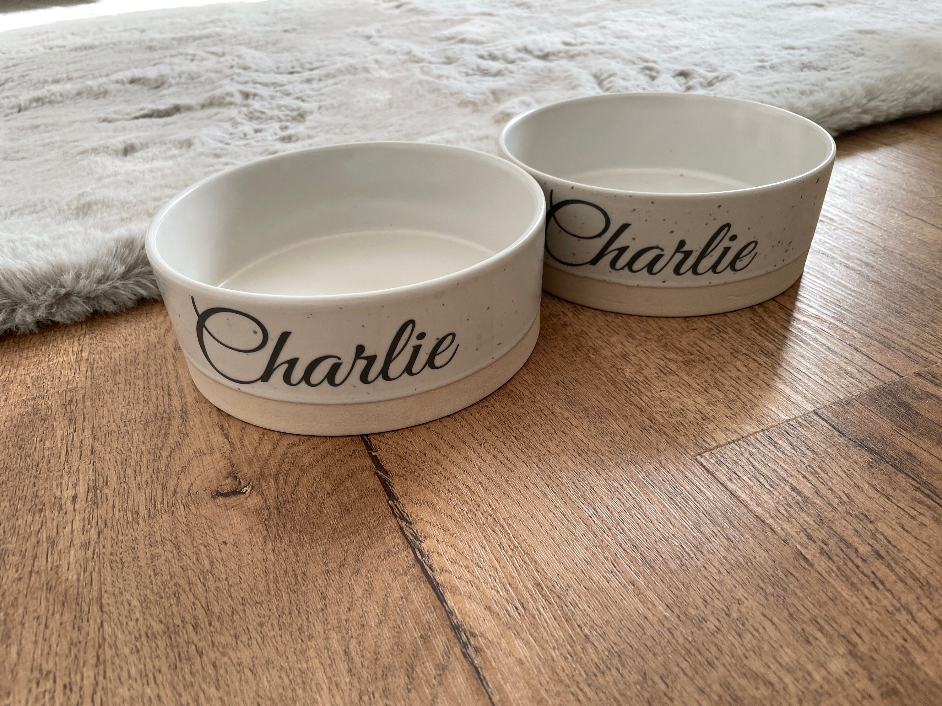 Custom Pet Bowls for Dogs and Cats