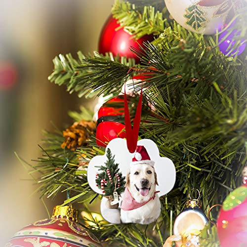 Custom Aluminum Paw Shape Christmas Ornament with Personalization