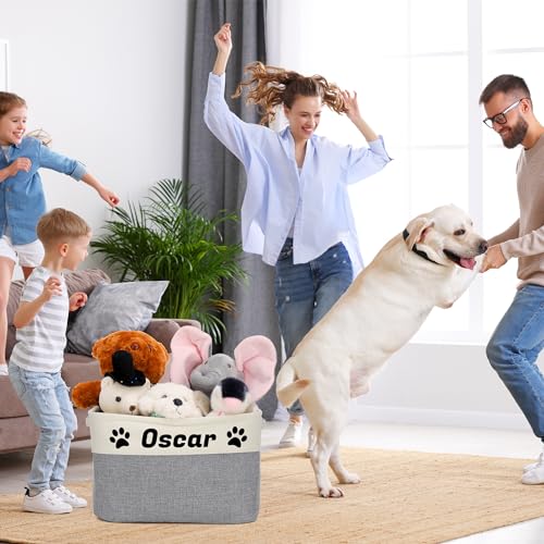 Personalized Pet Toy Basket with Custom Name, Sturdy Foldable Storage Box