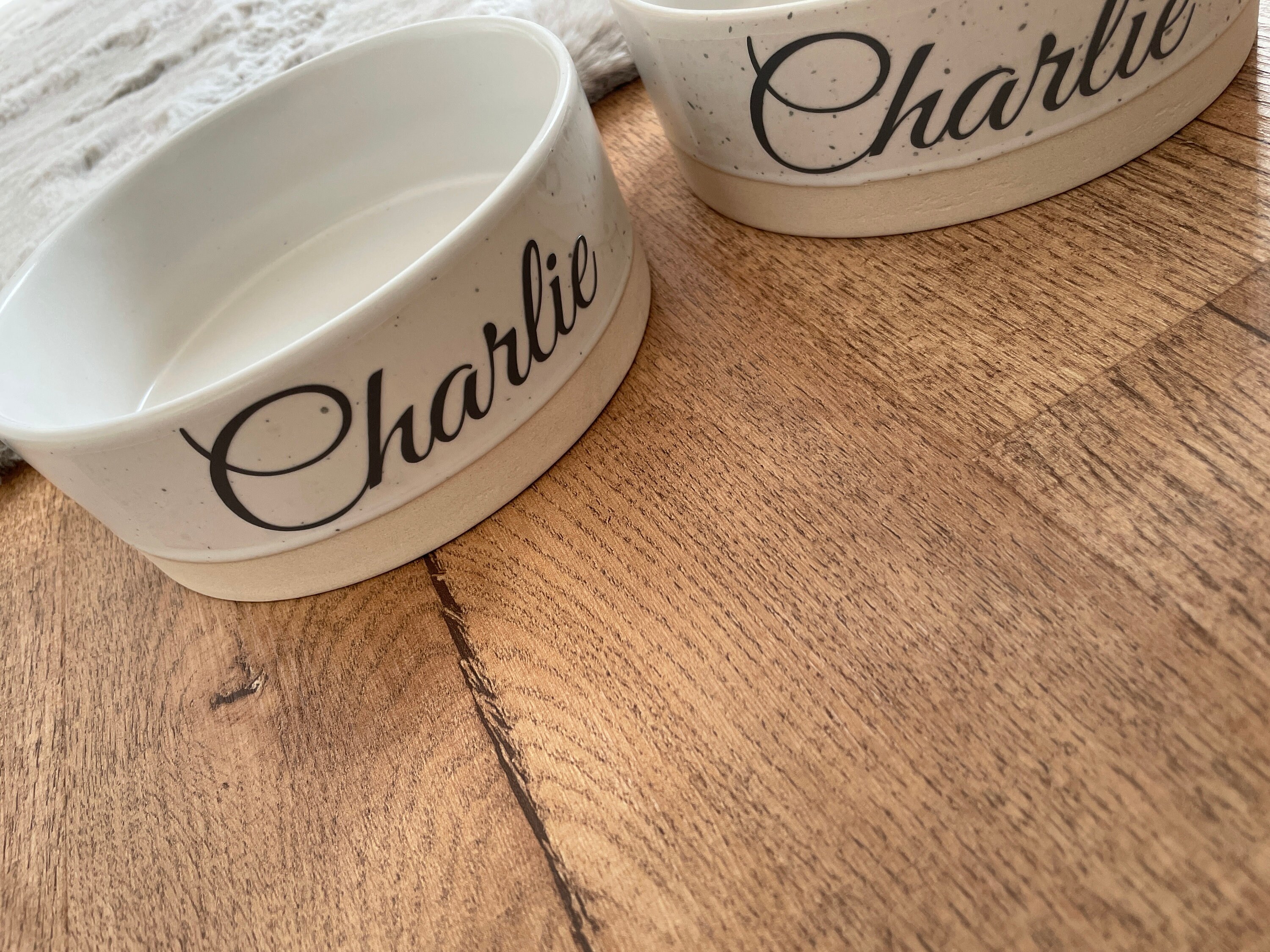 Custom Pet Bowls for Dogs and Cats