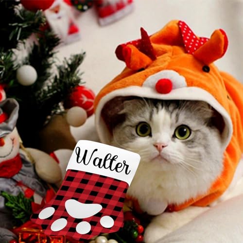 Personalized Christmas Stocking for Cats: Paw & Bone