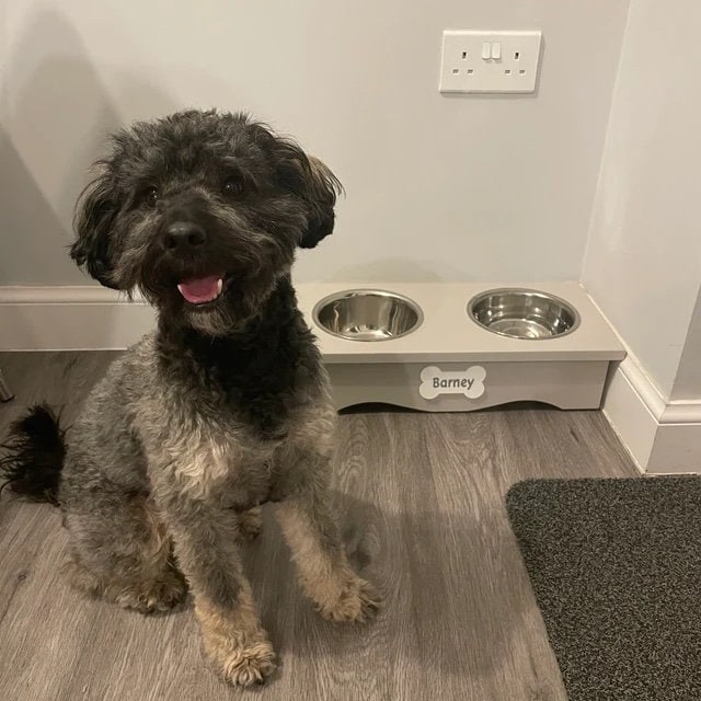 Personalized Dog Bowl Stand with Custom Labels