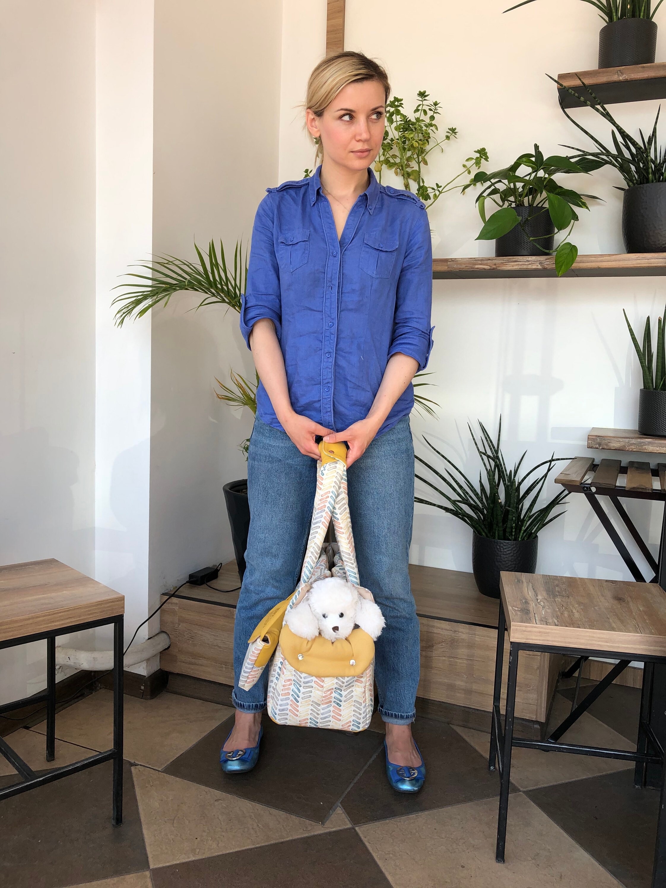 Designer Dog Bag Carrier for Stylish Pups