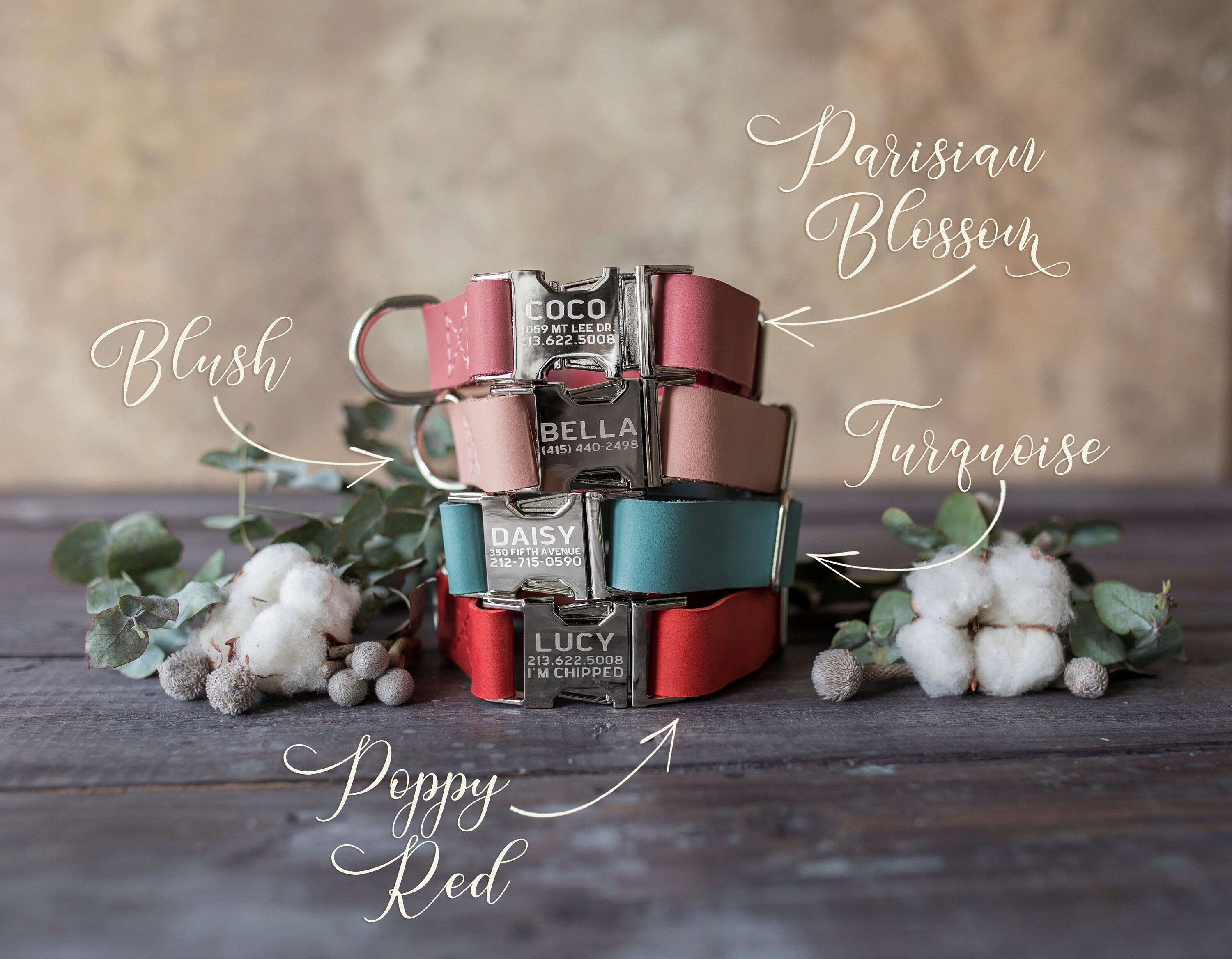 Engraved leather dog collar, Personalized dog collar, Personalized leather dog collar, cat collar, leather cat collar, personalized collar