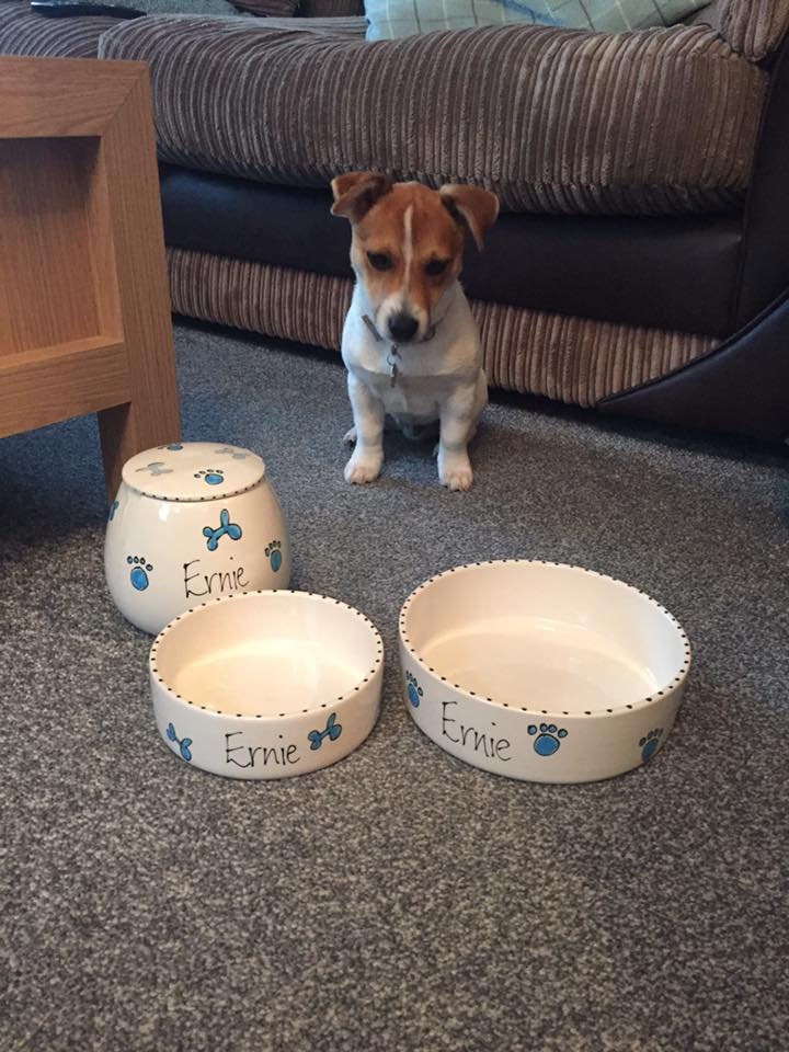 Personalized Pet Bowls & Treat Jar Gift Set