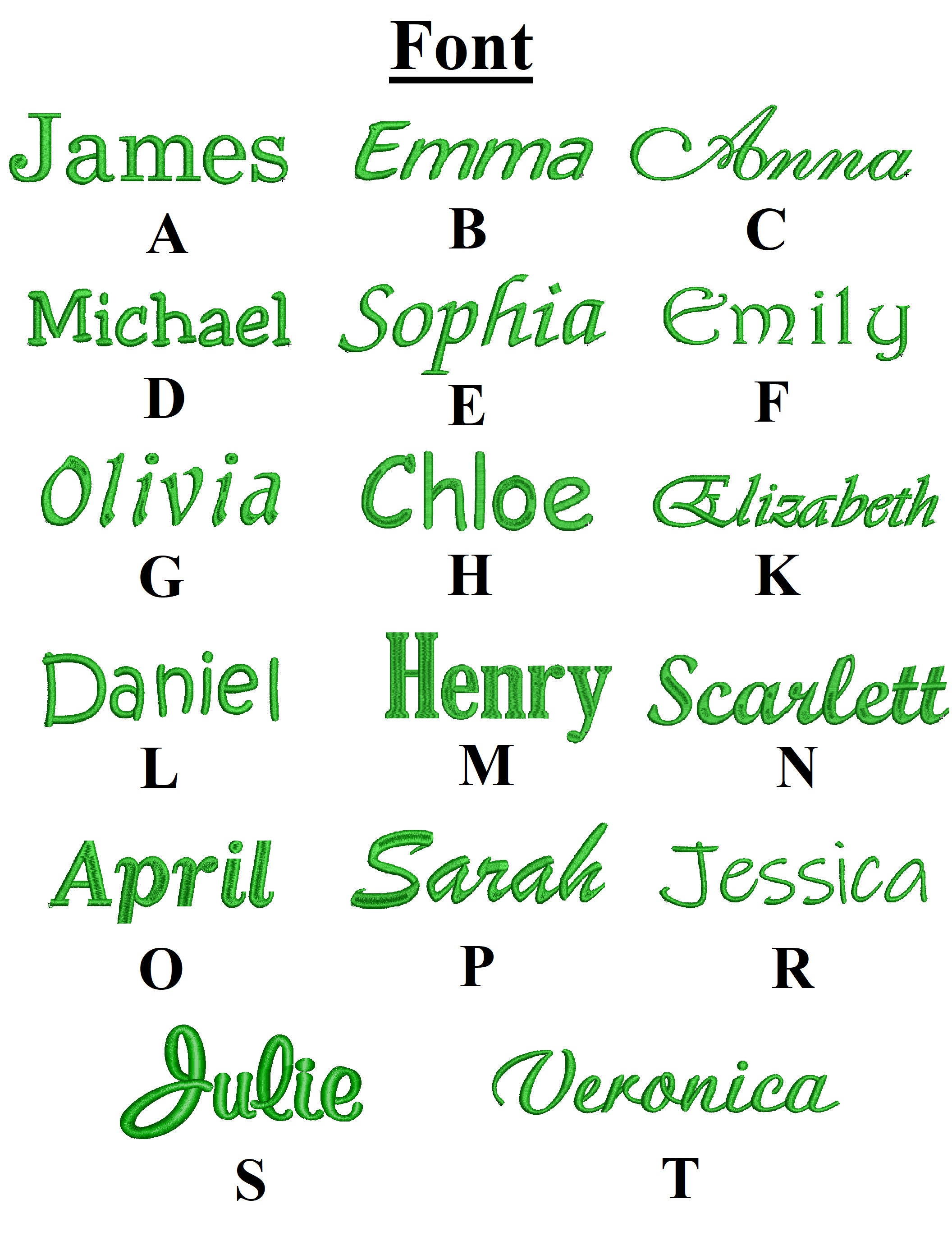 Custom Dog Travel Bag: Airline Approved, Week-Long Organizer