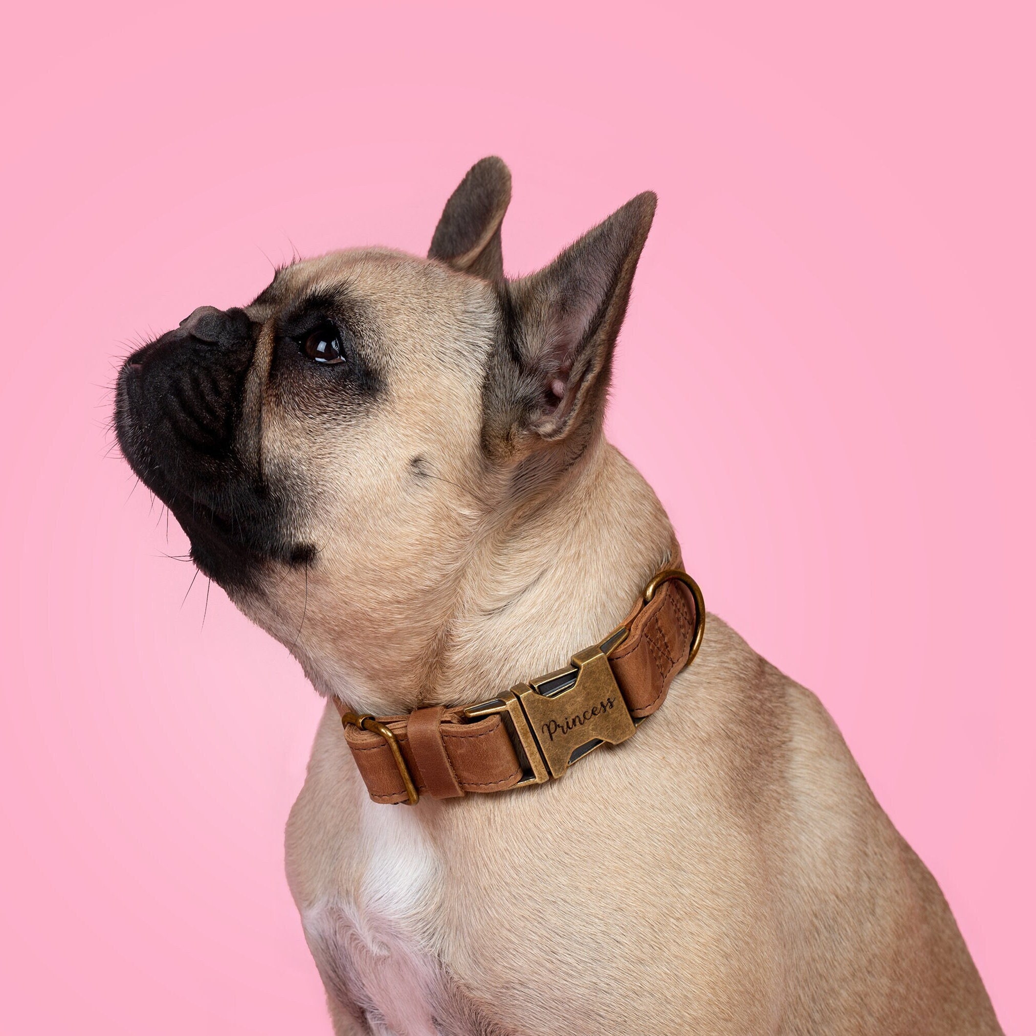 Leather Dog Collar, Rustic Buckle, Personalized Dog Collar, Vintage Collar, Engraved Collar, Gifts For Pets, Dog Collar With Name Plate,