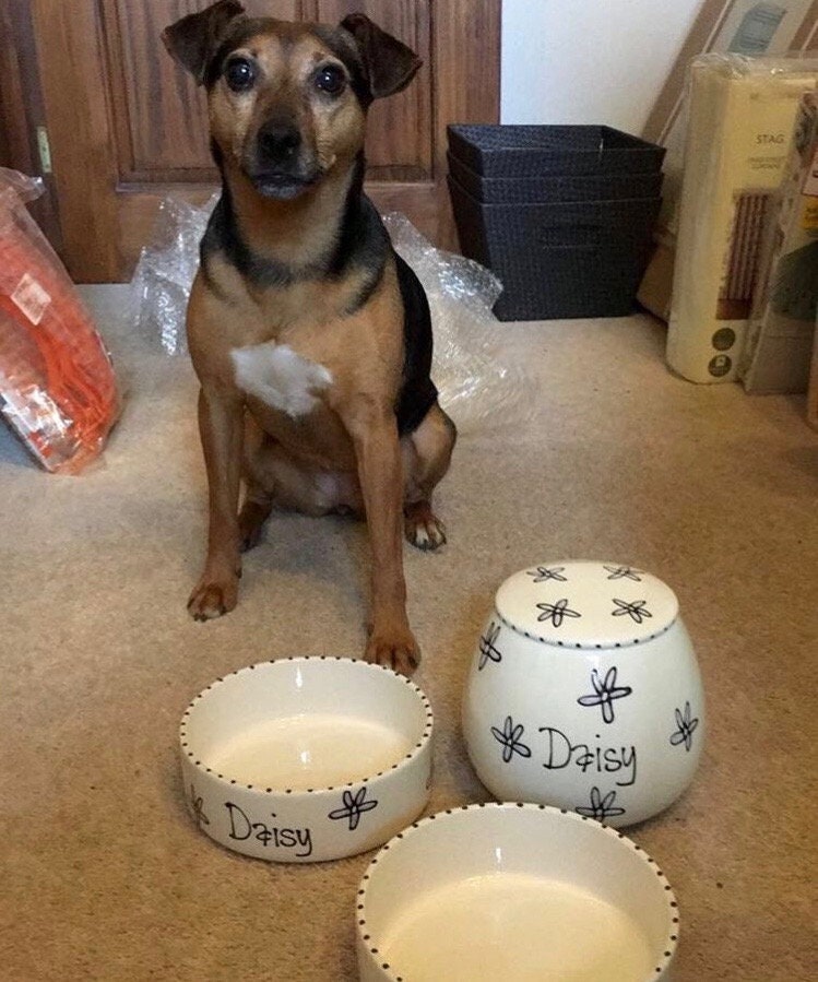 Personalized Pet Bowls & Treat Jar Gift Set
