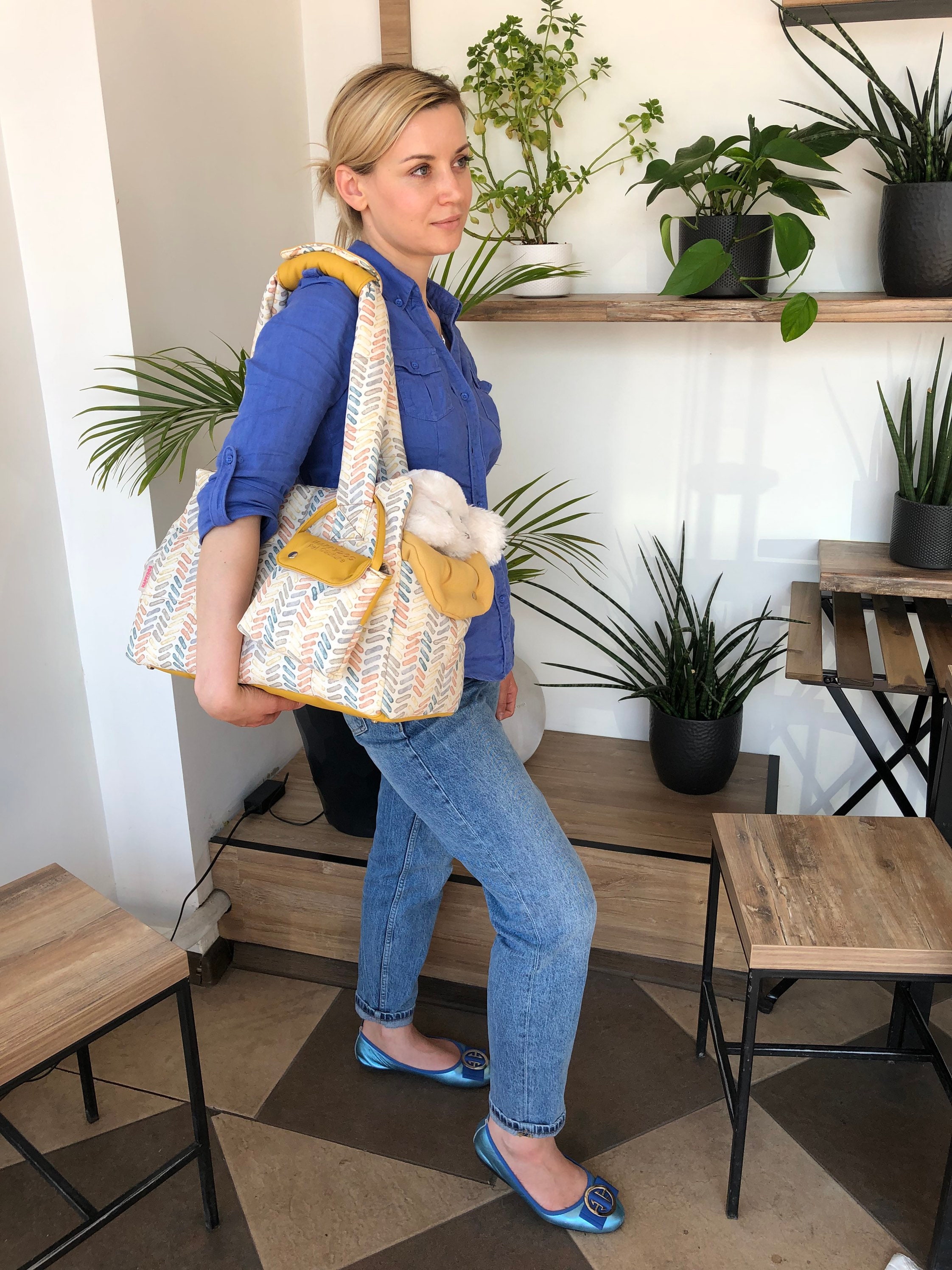 Designer Dog Bag Carrier for Stylish Pups