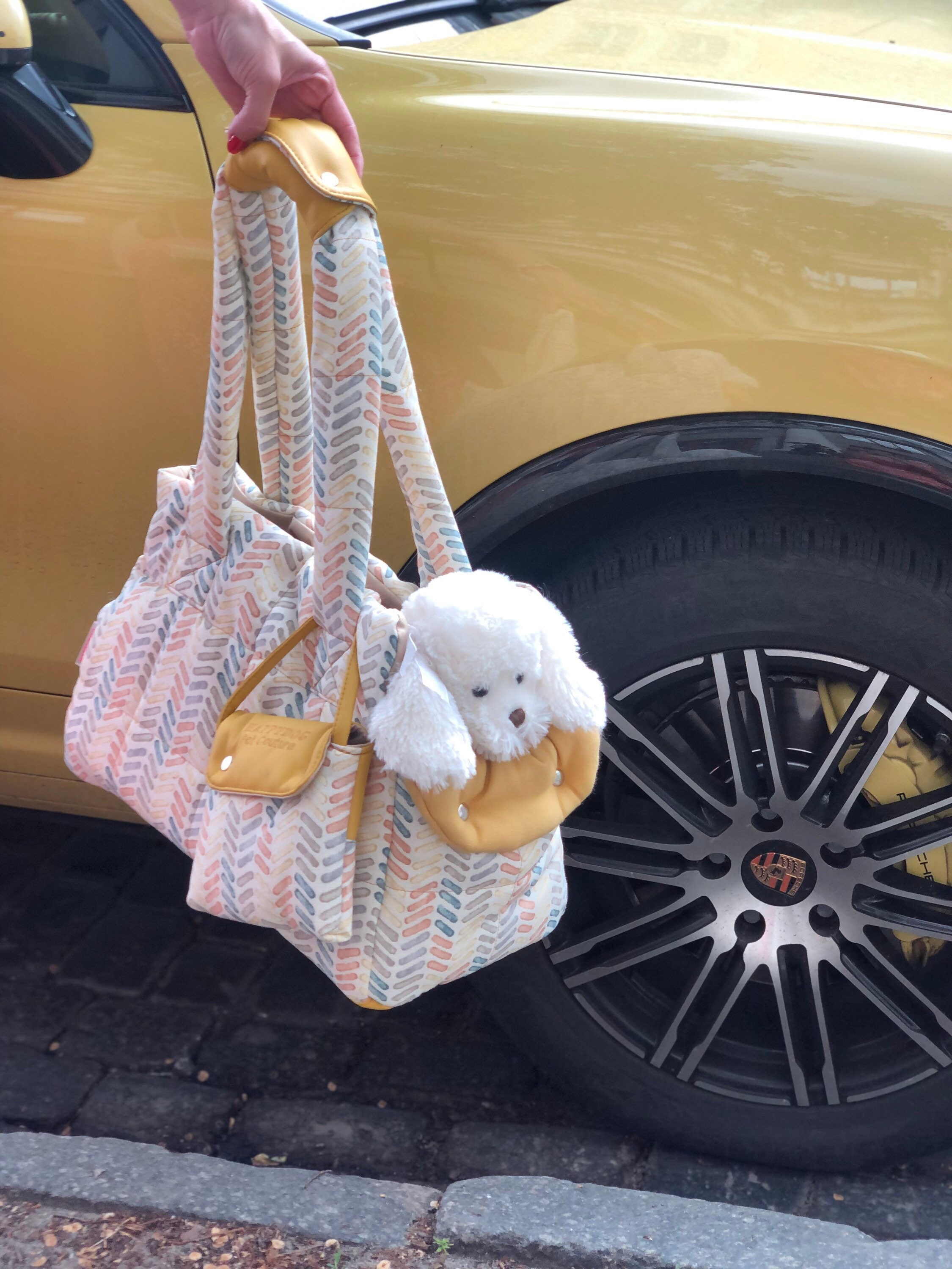 Designer Custom Dog Carrier for Small Breed Canines