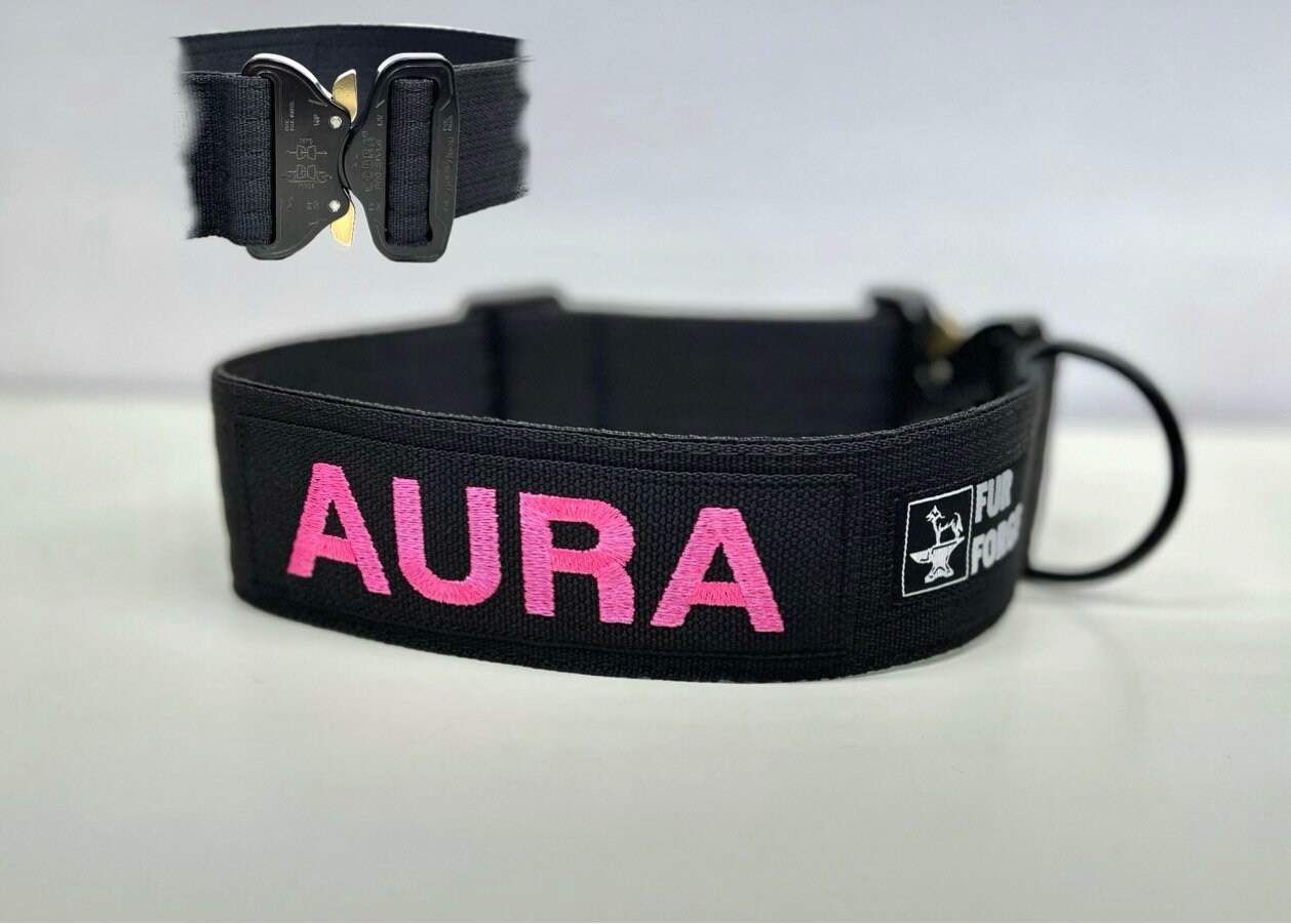 Custom Embroidered Tactical Dog Collar with Metal Buckle