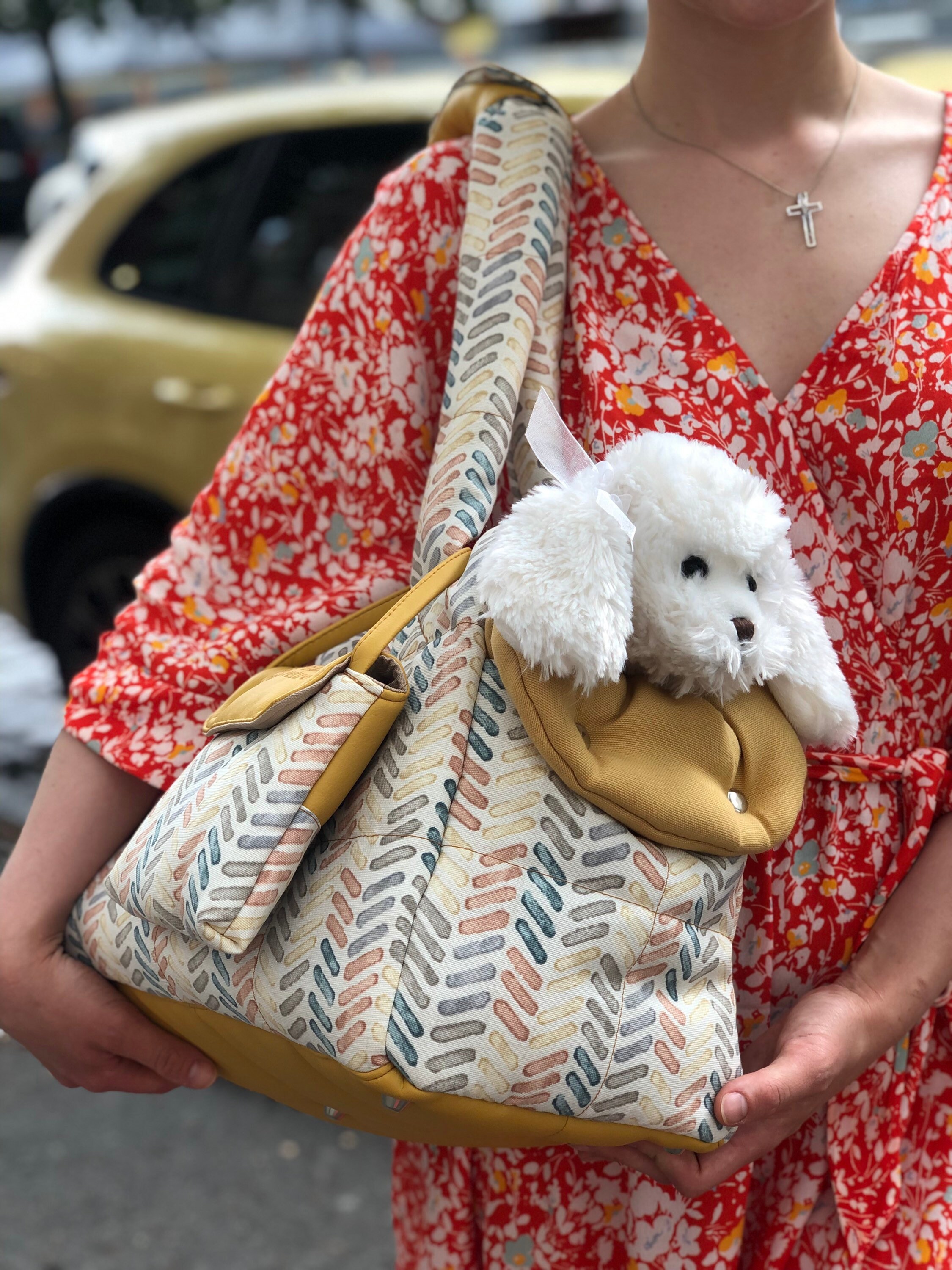 Designer Custom Dog Carrier for Small Breed Canines