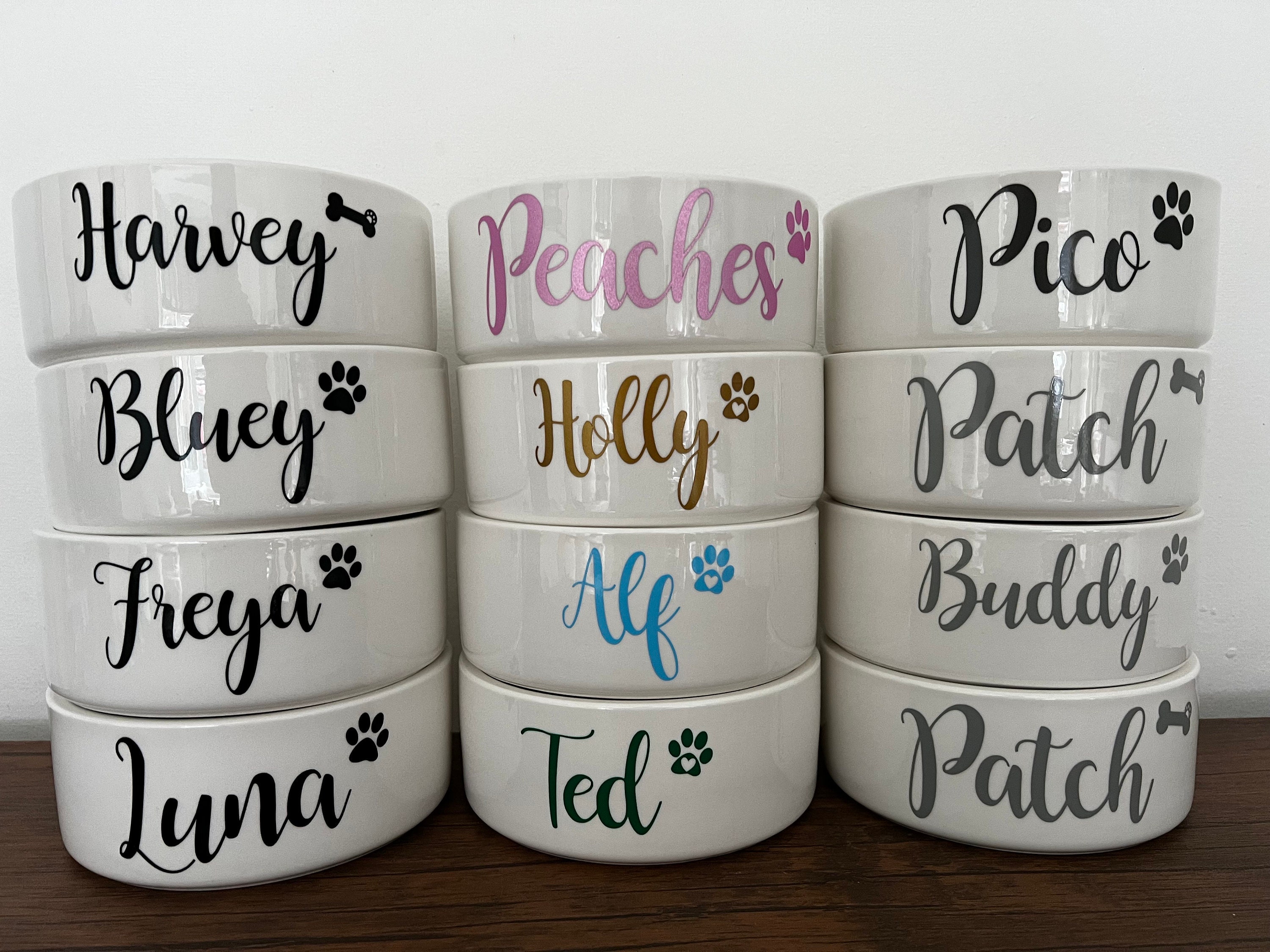 Custom Calligraphy Pet Feeding Bowl - Dog Cat Rabbit