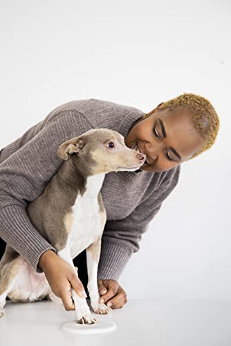 Pearhead Dog or Cat Paw Print Pet Keepsake Photo Frame With Clay Imprint Kit, Gift for Pet Lovers and Pet Owners, Tabletop Memorial Frame, 4” x 6” Photo Insert, Black