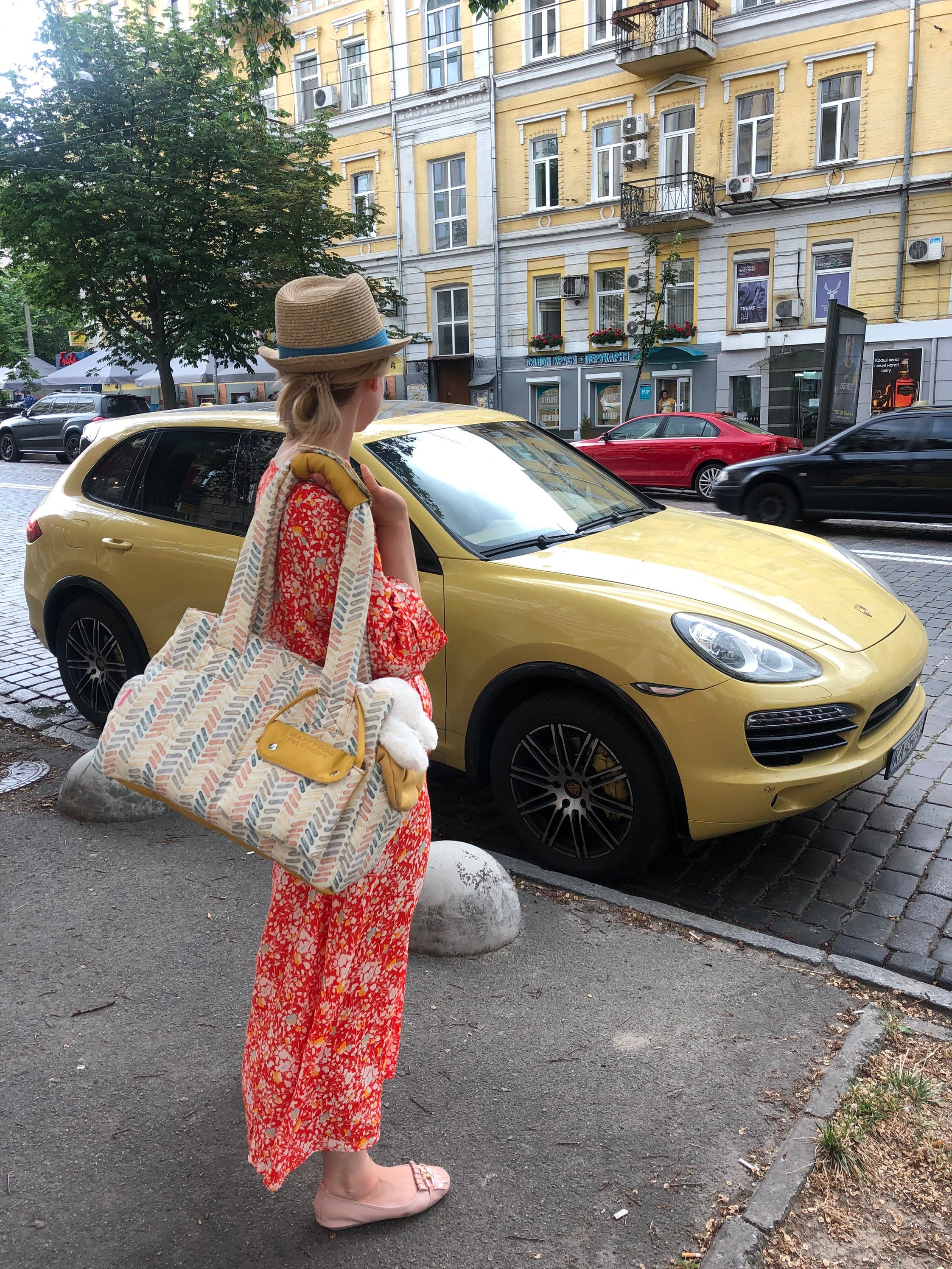 Designer Custom Dog Carrier for Small Breed Canines