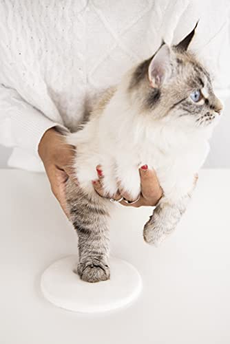 Pearhead Dog or Cat Paw Print Pet Keepsake Photo Frame With Clay Imprint Kit, Gift for Pet Lovers and Pet Owners, Tabletop Memorial Frame, 4” x 6” Photo Insert, Black