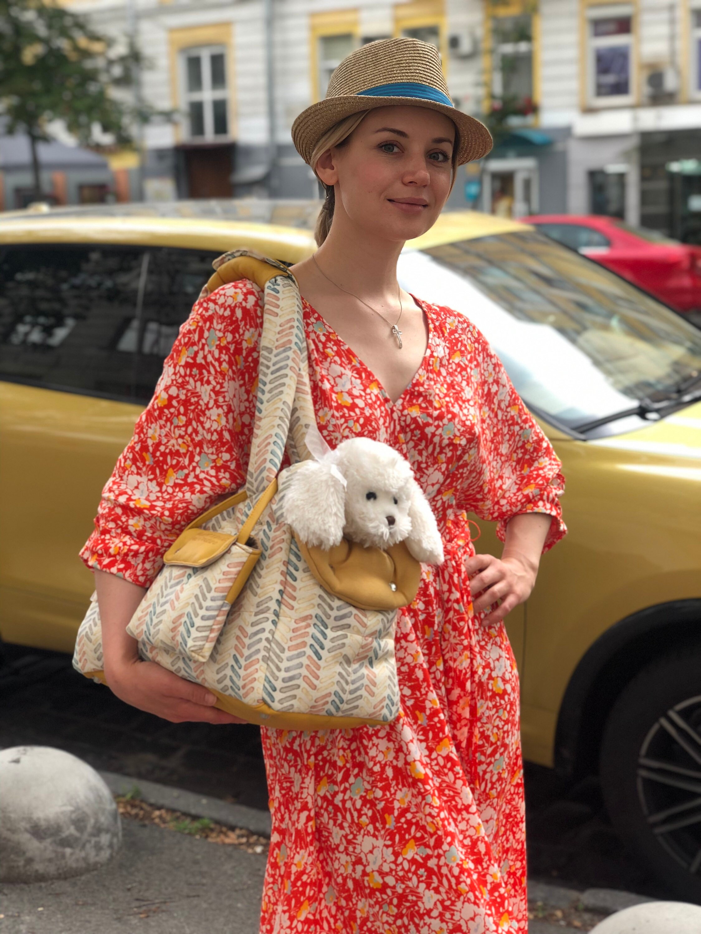 Designer Custom Dog Carrier for Small Breed Canines