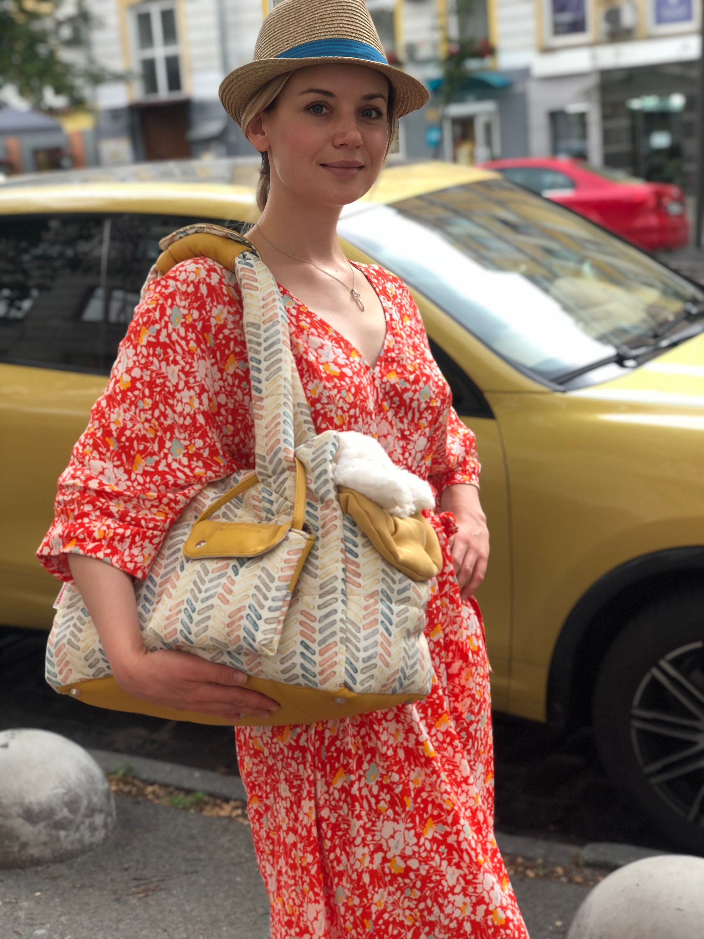 Designer Custom Dog Carrier for Small Breed Canines