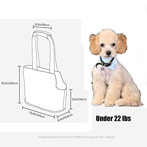 Dog Carrier with Collar Hook, Waterproof, Personalized - 22lbs