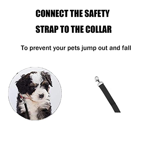 Dog Carrier with Collar Hook, Waterproof, Personalized - 22lbs