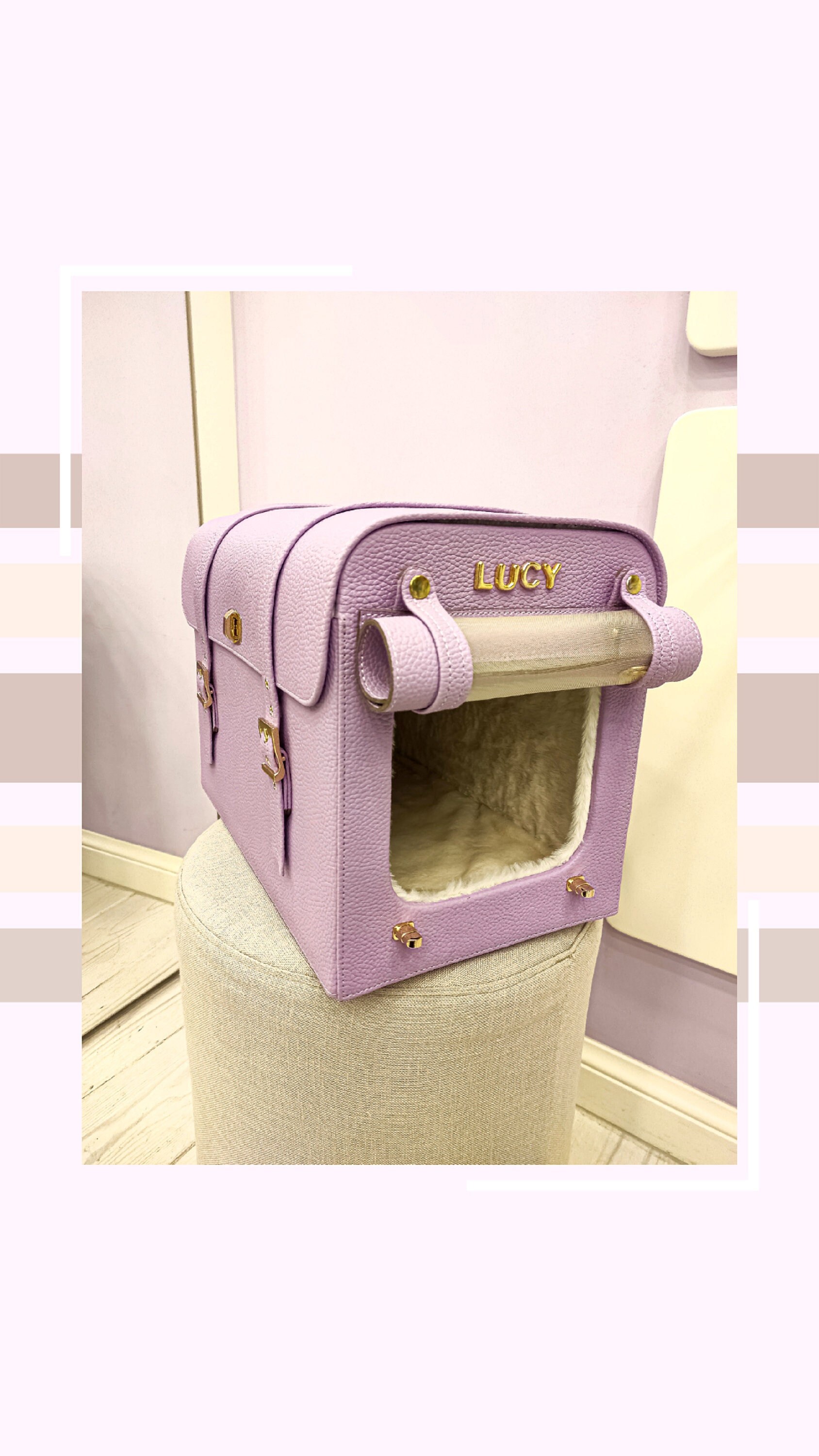 Customized Pet Carrier Tote for Travel with Personalization