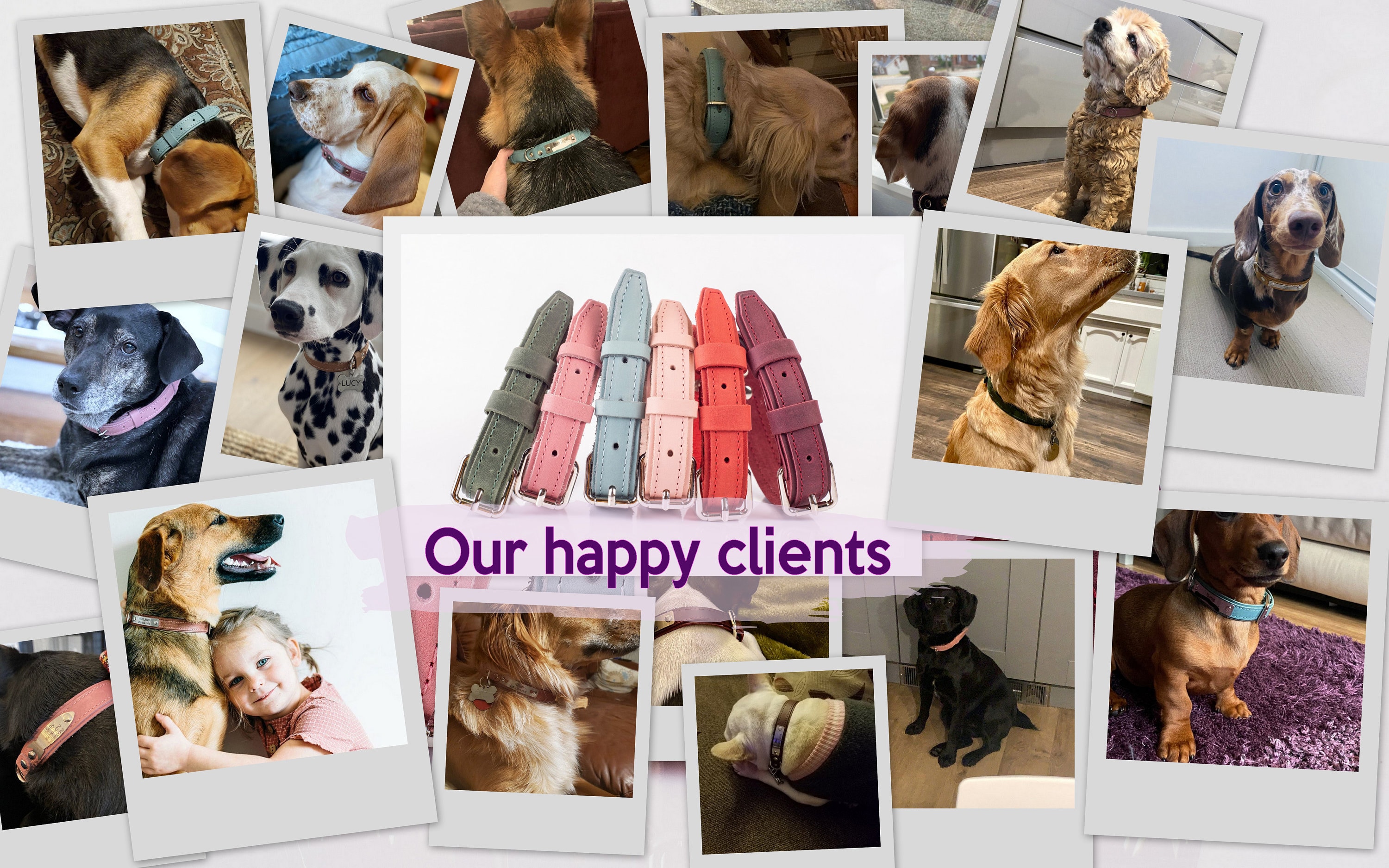 Personalized Leather Dog Collar, Engraved Dog Collar, Custom Dog Collar with Name Plate, Leather Dog Collar