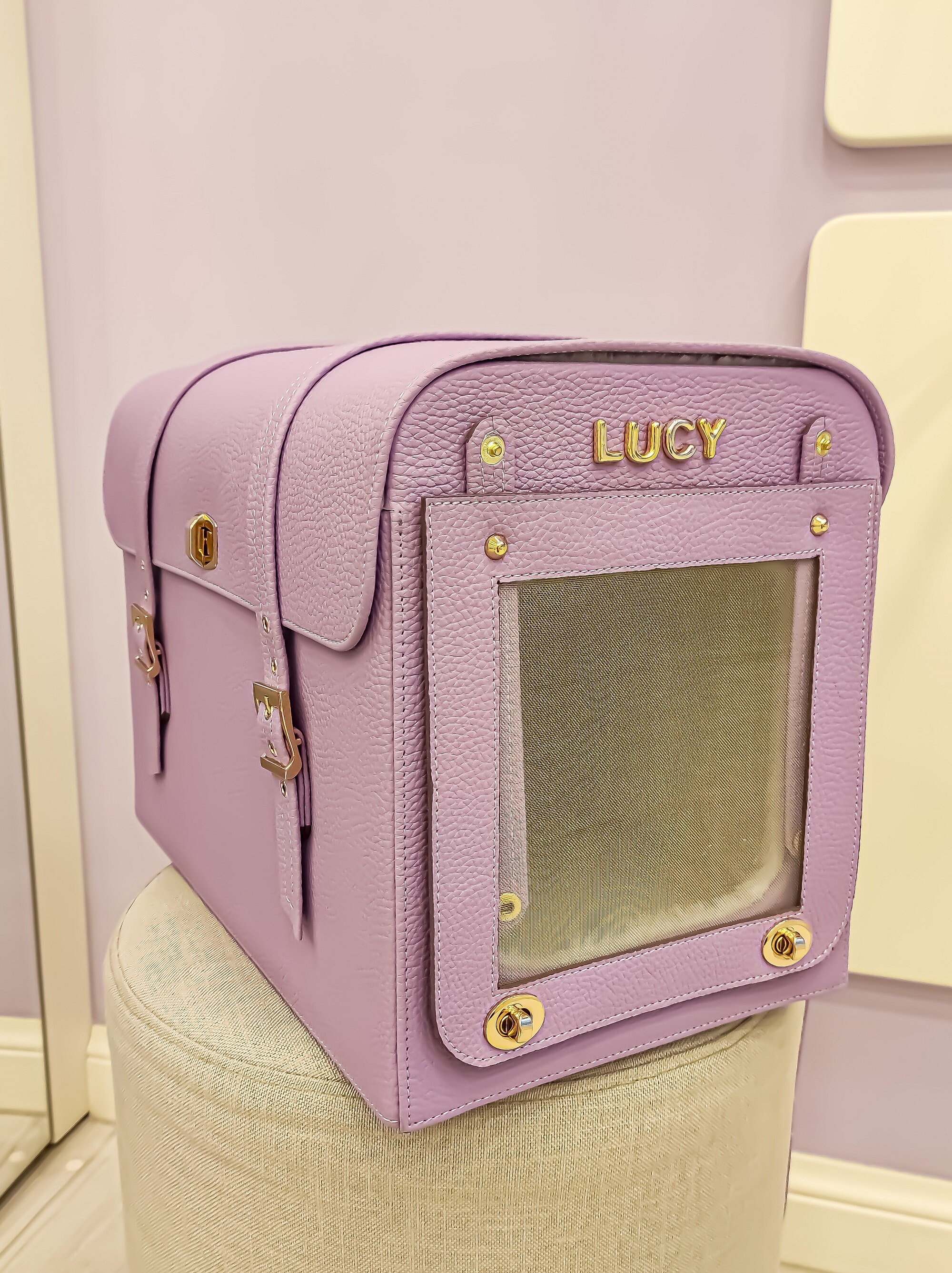 Customized Pet Carrier Tote for Travel with Personalization