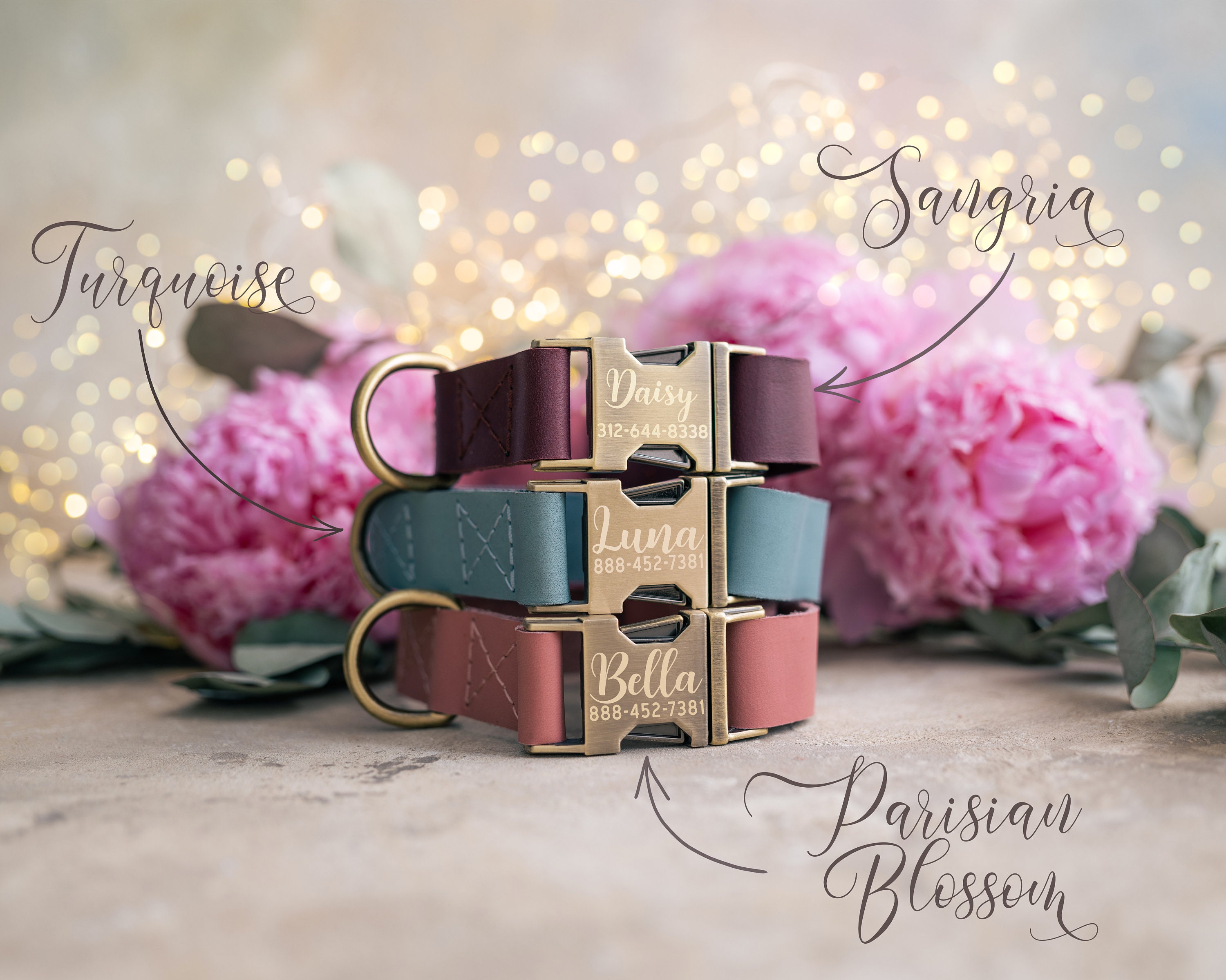 Dog collar Leather, dog collar personalized, dog collar girl, dog collar boy, dog collar with ANTI-BRASS color buckle leather RUSTIC buckle