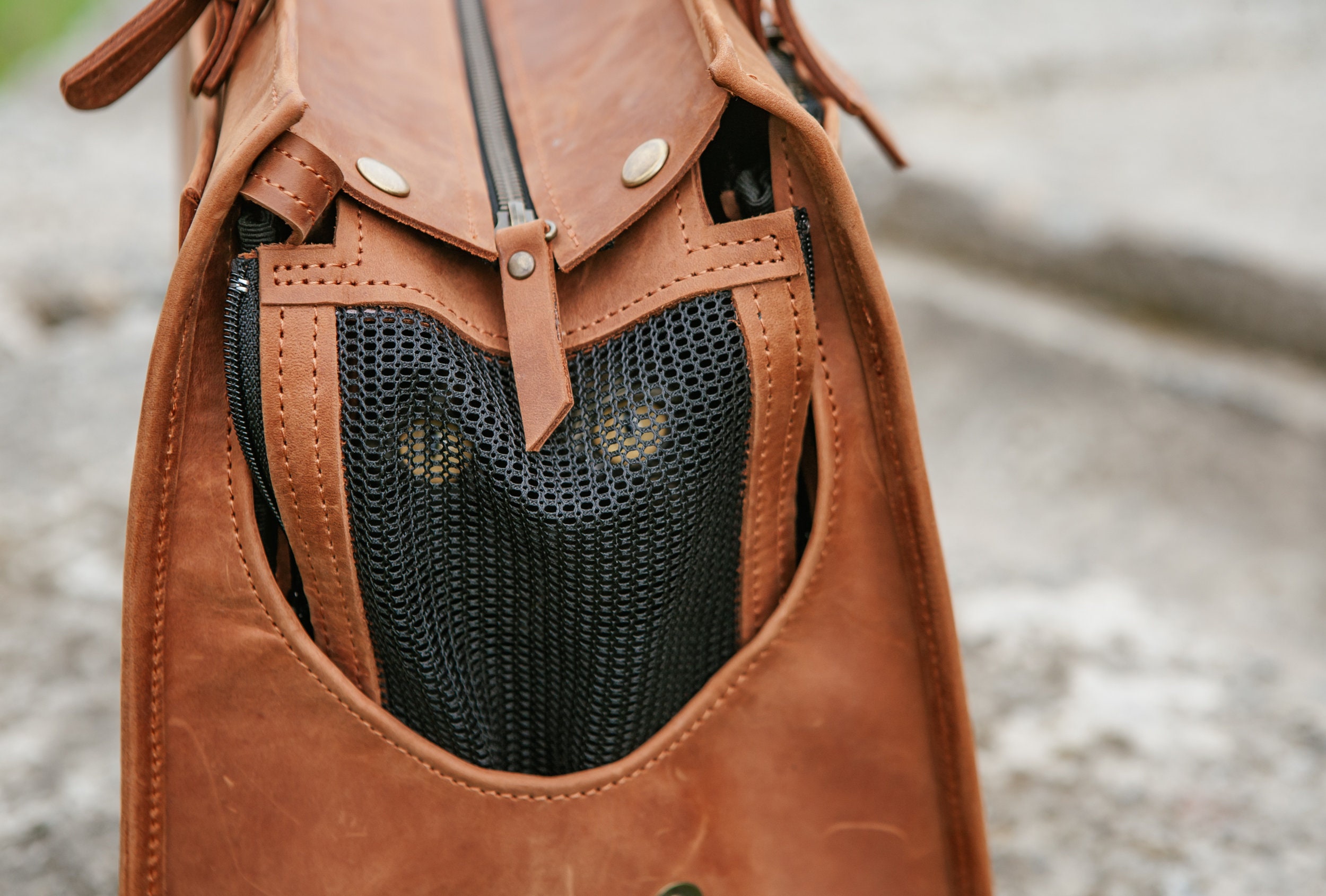 Leather Pet Carrier & Travel Bag for Cats and Dogs