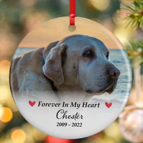 Custom Pet Memorial Photo Ornament - 5 Designs