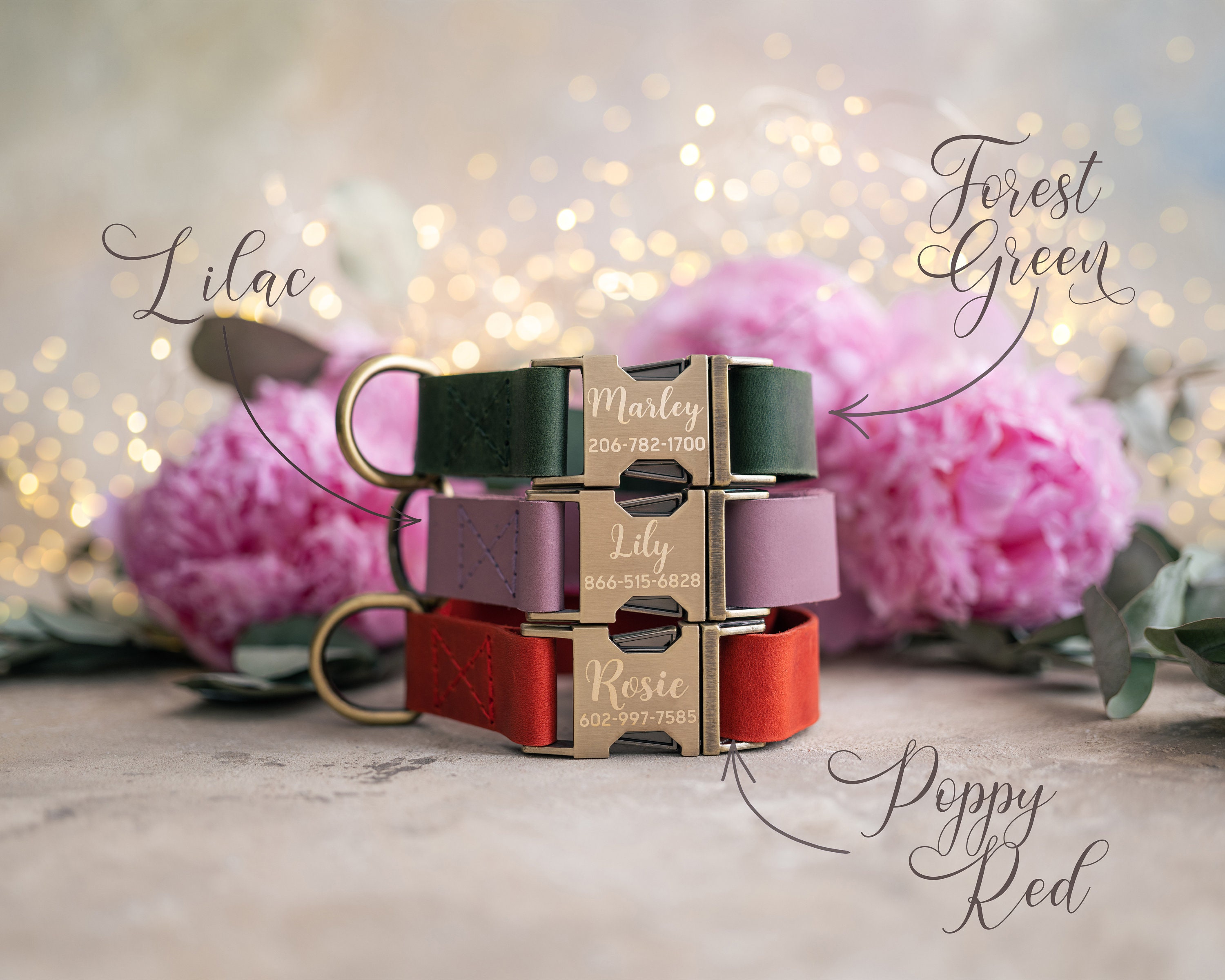 Dog collar Leather, dog collar personalized, dog collar girl, dog collar boy, dog collar with ANTI-BRASS color buckle leather RUSTIC buckle