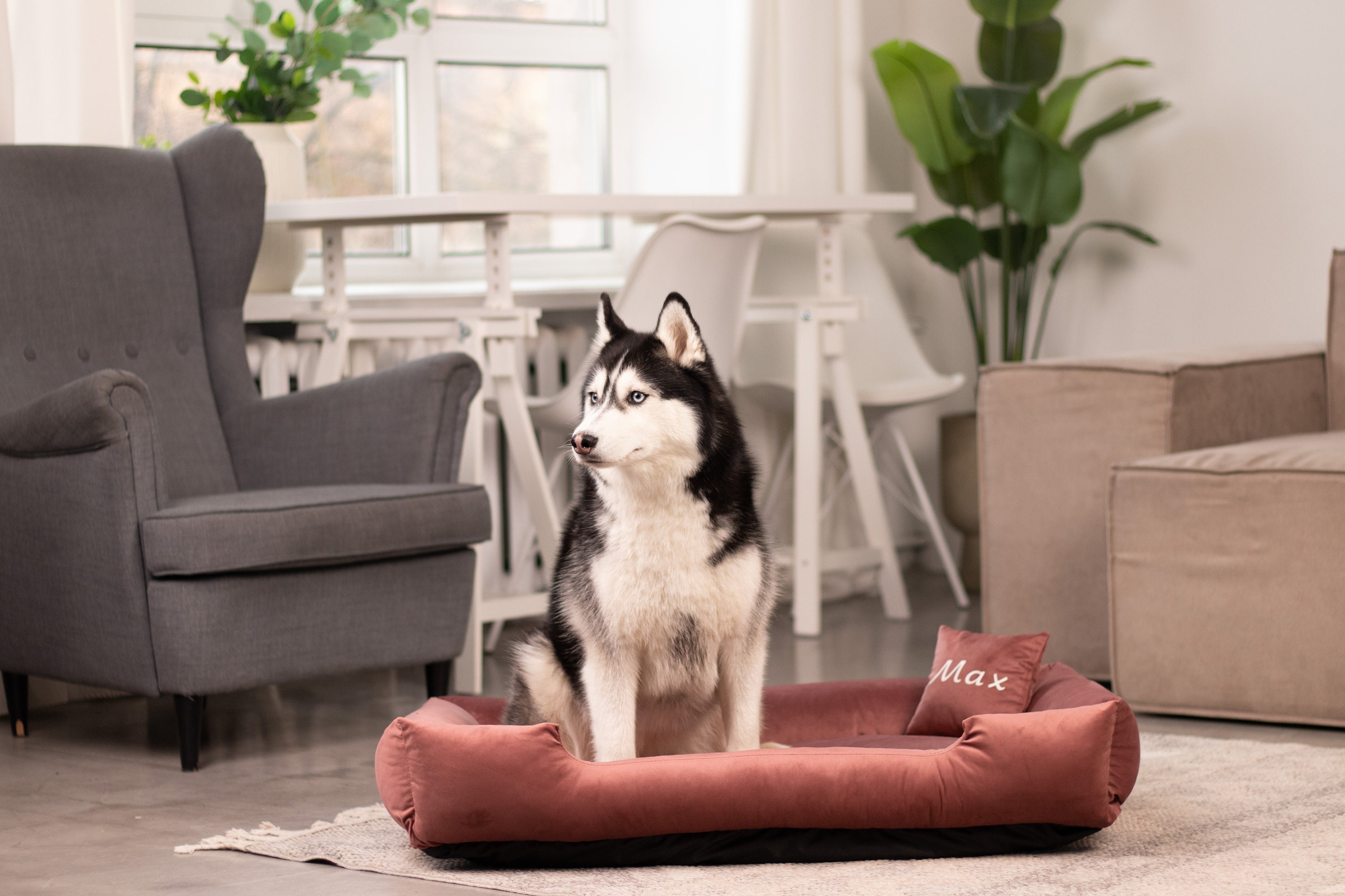 Personalized Velvet Extra Large Dog Bed