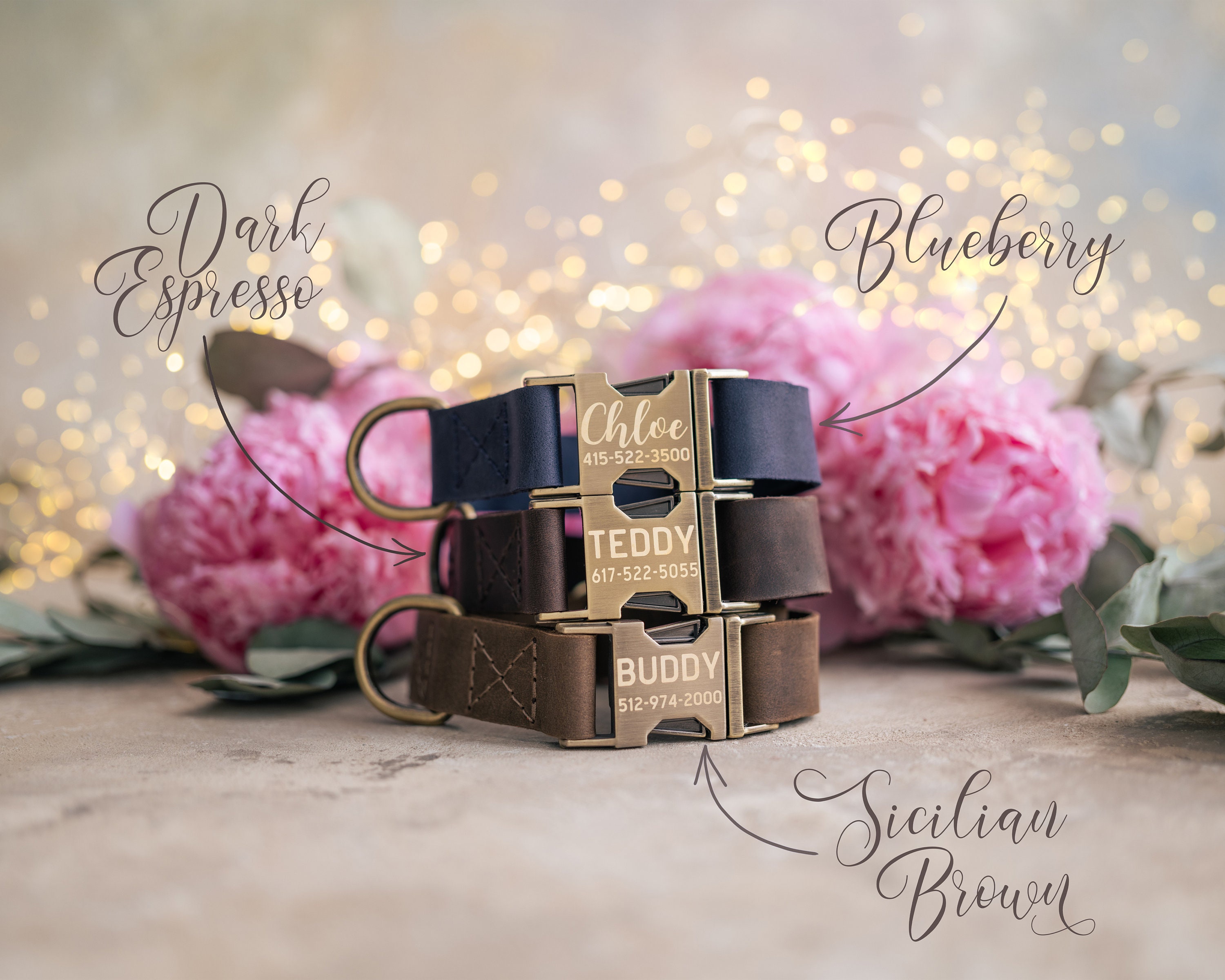 Dog collar Leather, dog collar personalized, dog collar girl, dog collar boy, dog collar with ANTI-BRASS color buckle leather RUSTIC buckle