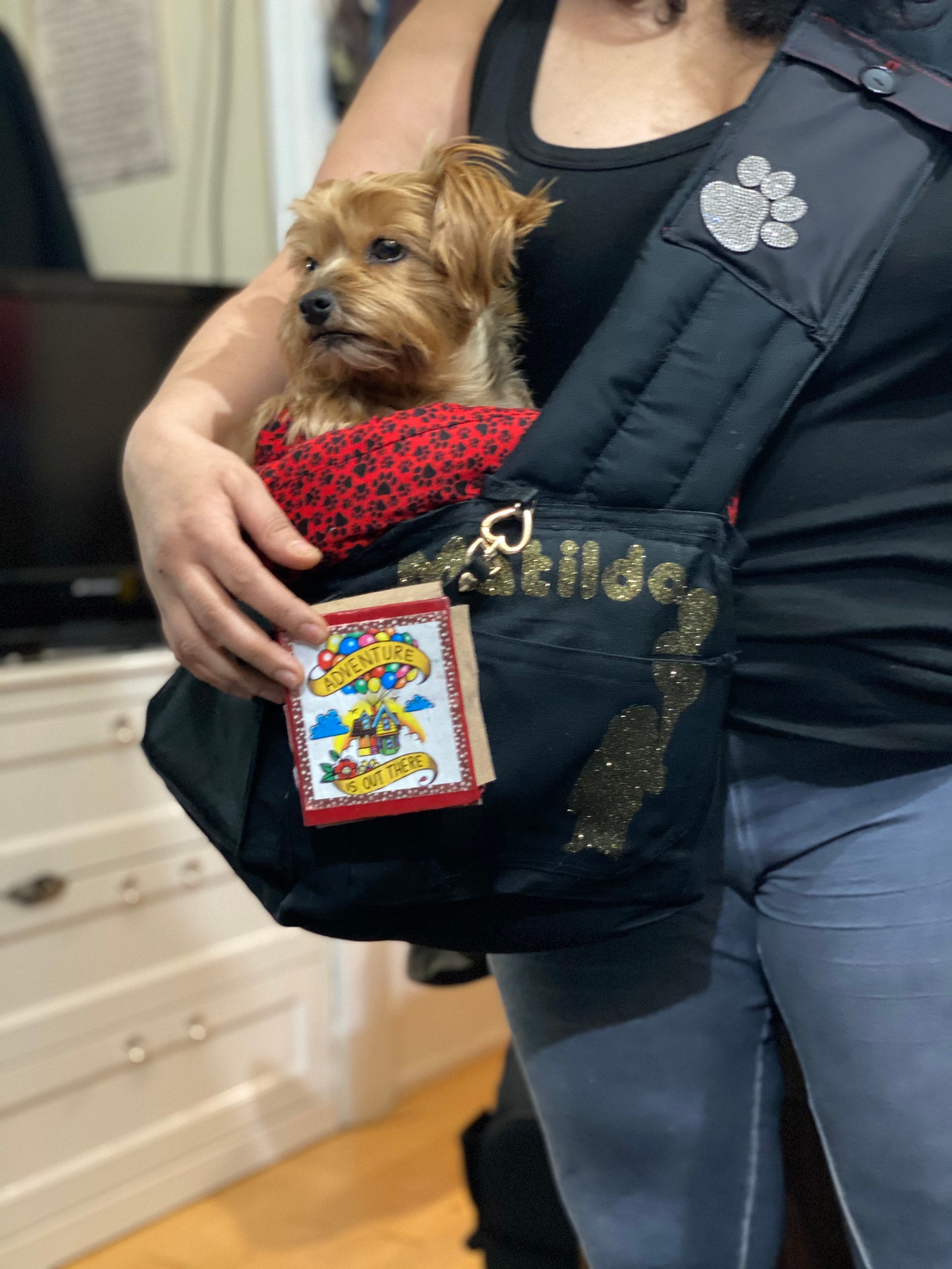 Personalized pet carrier bag design service available!