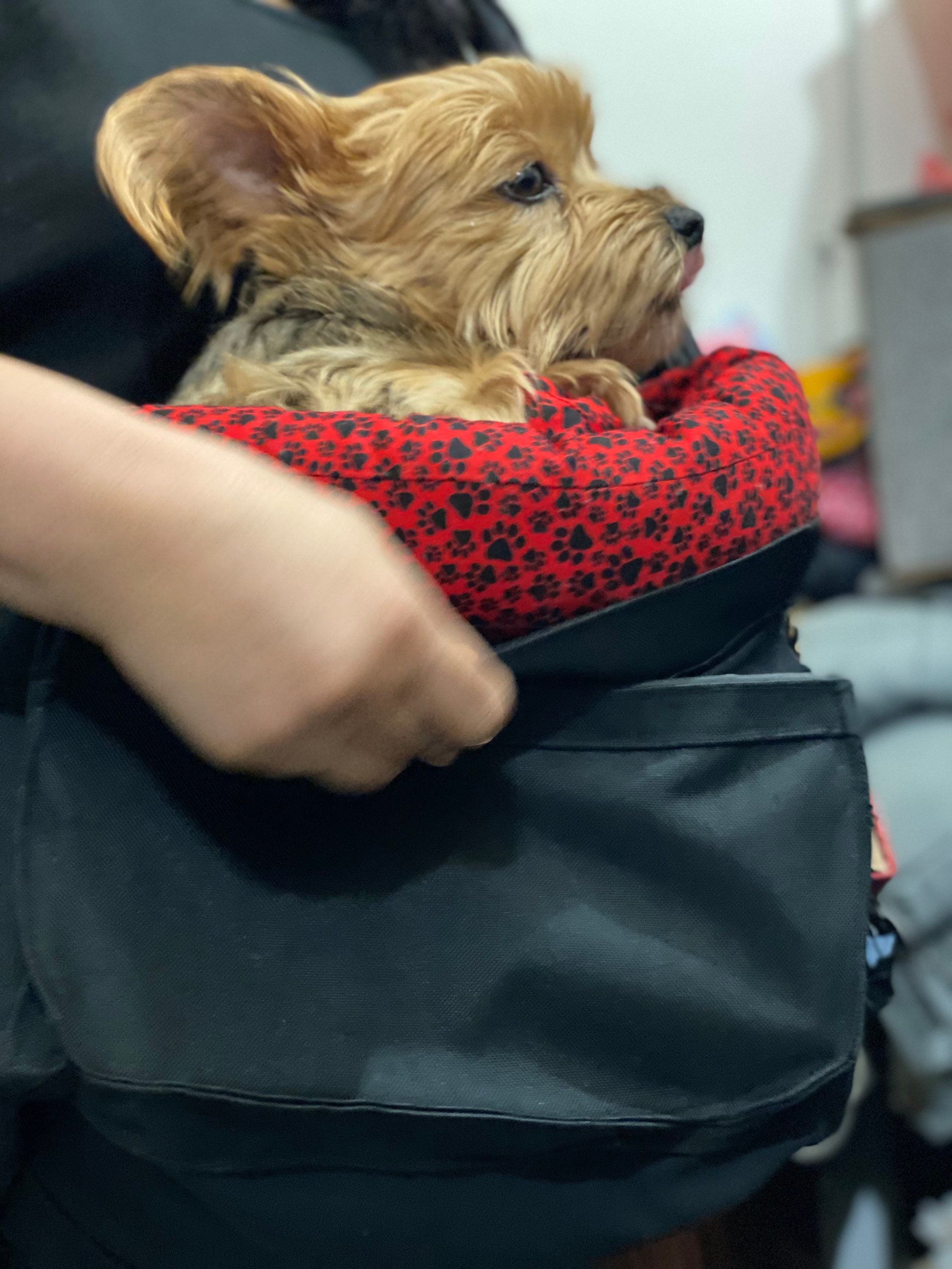 Personalized pet carrier bag design service available!