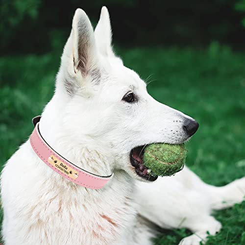 Personalized Leather Dog Collars with Nameplate - Various Colors