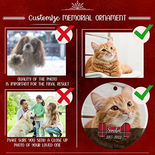 Custom Pet Memorial Photo Ornament - 5 Designs