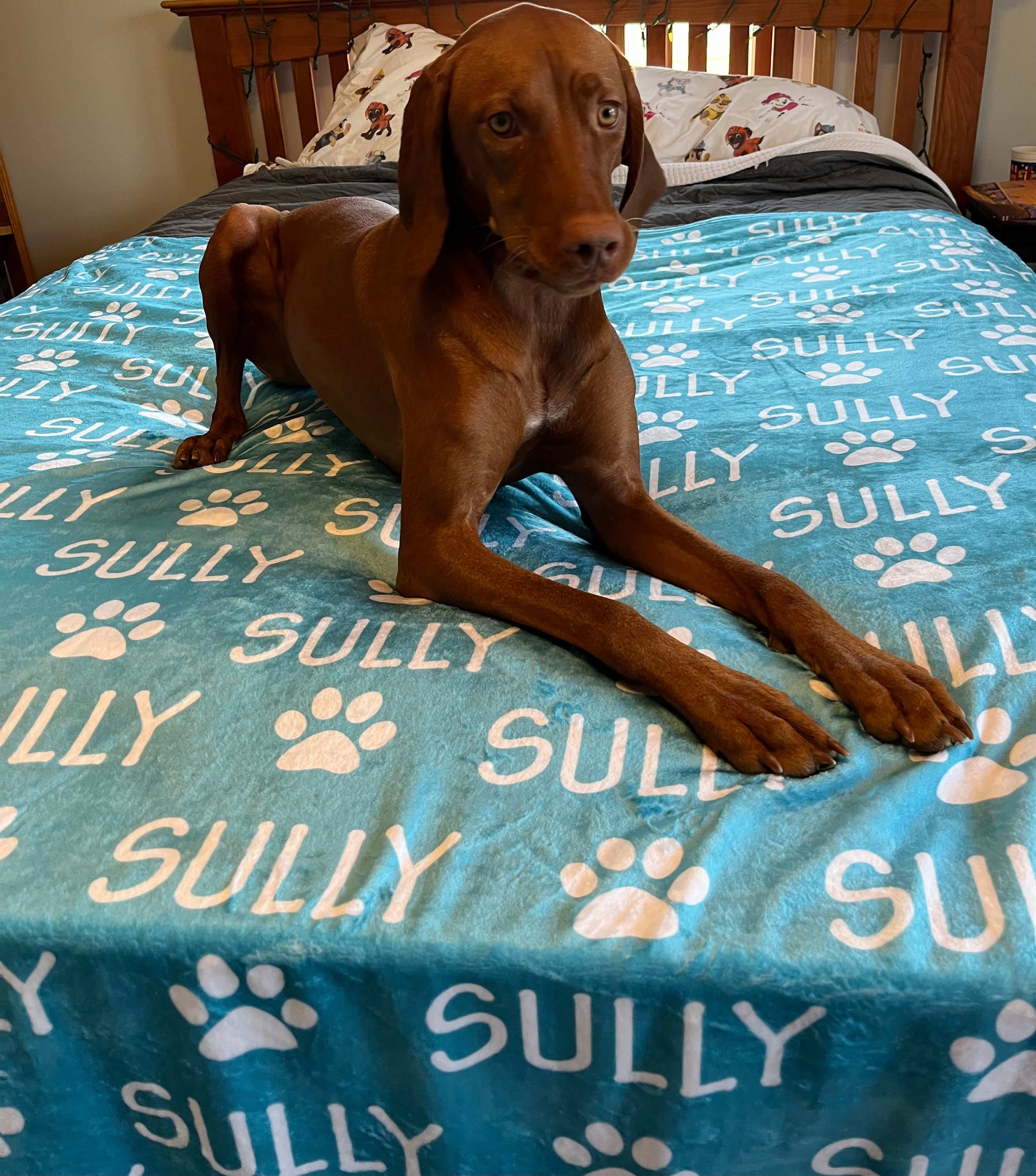 Custom Paw Print Name Blanket for Pets